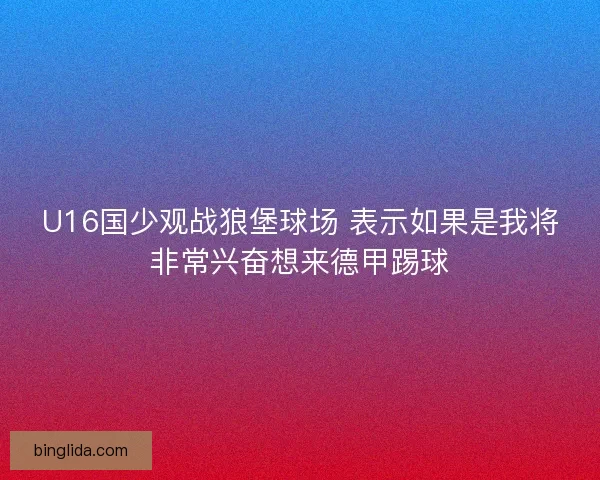 U16国少观战狼堡球场 表示如果是我将非常兴奋想来德甲踢球